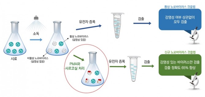 세계김치연구소 위생안전성분석센터 하지형 박사팀이 개발한 노로바이러스 검사법. 기존의 유전자 분석법과 비교해 설명했다. - 세계김치연구소 제공